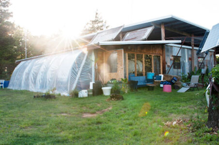 A Green Home Lesson for Growing Tomatoes in Drought Image